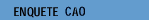 Enquête CAO
